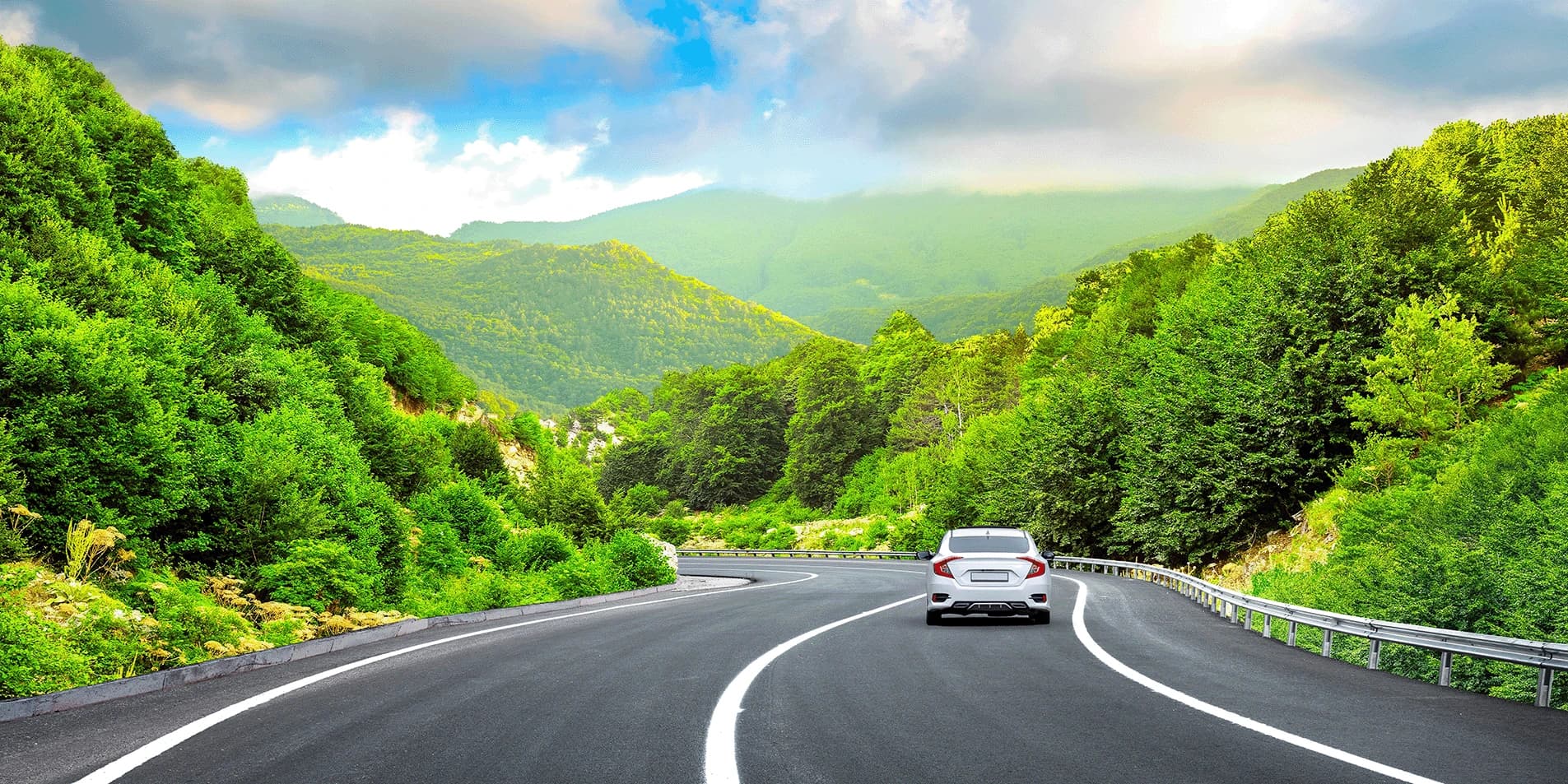 International Driver's License